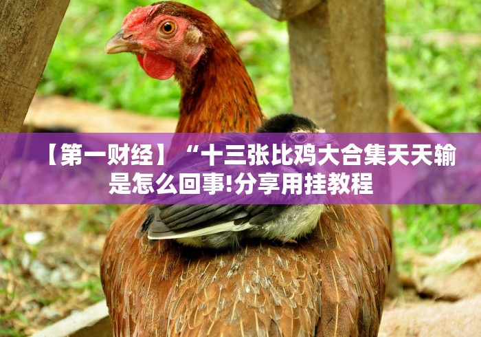 【第一财经】“十三张比鸡大合集天天输是怎么回事!分享用挂教程