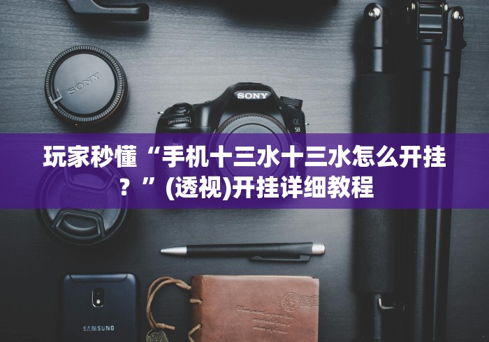 玩家秒懂“手机十三水十三水怎么开挂？”(透视)开挂详细教程