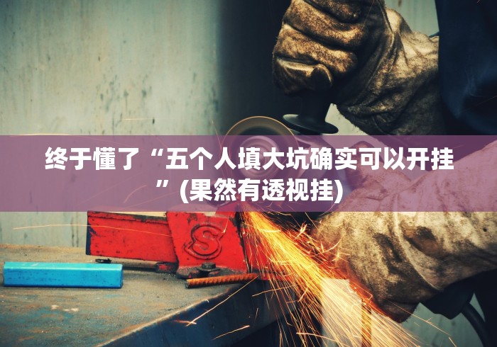 终于懂了“五个人填大坑确实可以开挂”(果然有透视挂)